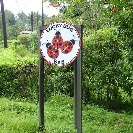 Lucky Bug Bed And Breakfast Nuevo Arenal Luaran gambar
